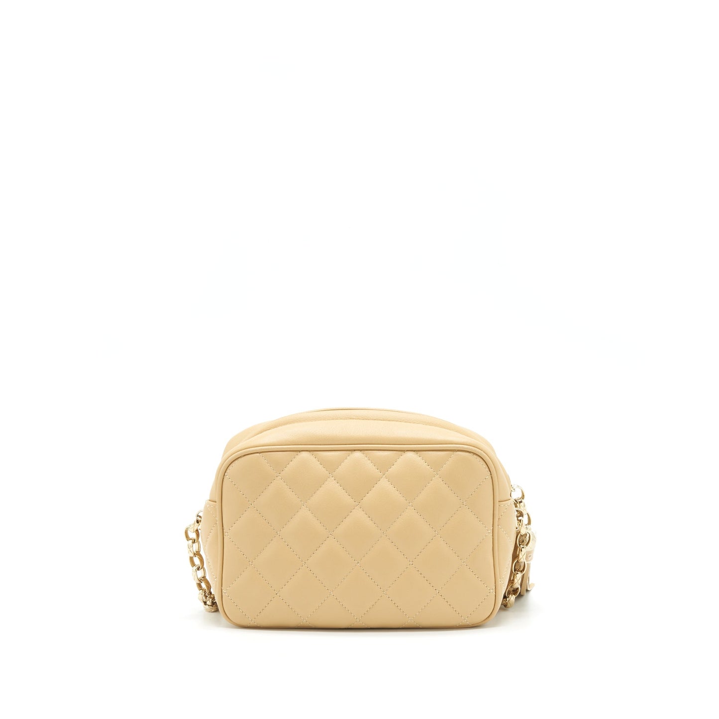 Chanel Camera Bag Lambskin Beige L
